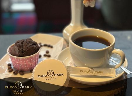 turkey/istanbul/europarkoteld87f7cd8.jpg