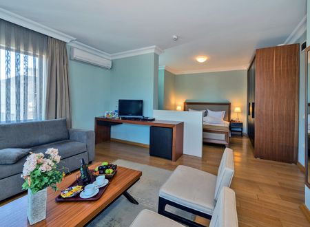 turkey/istanbul/fatih/agoralifehoteladd73d3b.jpg