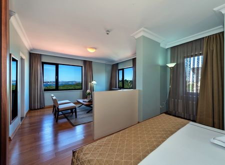 turkey/istanbul/fatih/agoralifehoteld4f6fb41.jpg