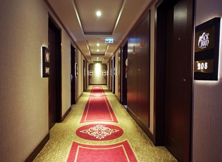 turkey/istanbul/fatih/blackbirdhotelc92de934.jpg