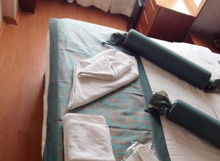 turkey/istanbul/fatih/bluetuanahotelcf89aa28.jpg