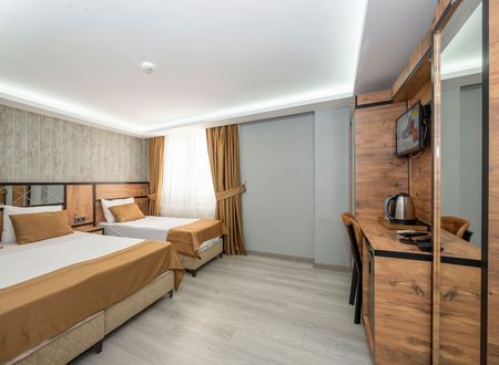 turkey/istanbul/fatih/boutiquededemhotelbd91a702.jpg