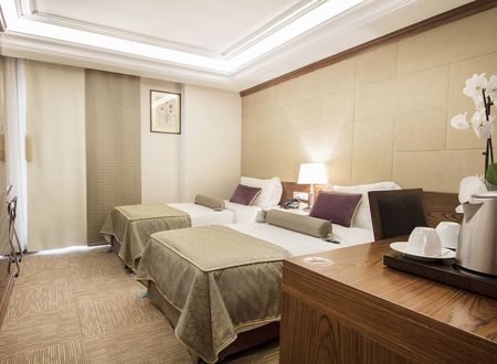 turkey/istanbul/fatih/eurostarshoteloldcityf20bcc5d.jpg