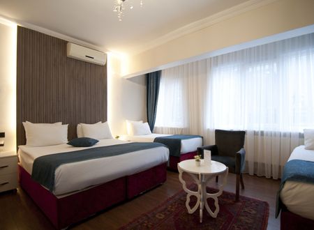 turkey/istanbul/fatih/geniushotelistanbul12752665.jpg