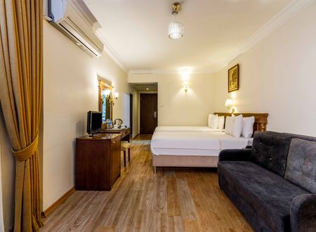 turkey/istanbul/fatih/goldencrownhoteladf61933.jpg