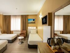 Triple room
