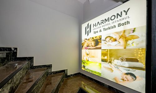 turkey/istanbul/fatih/harmonyhotel39734986.jpg