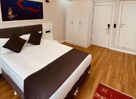 turkey/istanbul/fatih/hodegonsuitehotel12878663.jpg