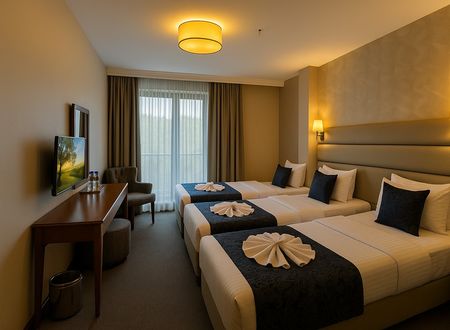 turkey/istanbul/fatih/istanbulmidpointhotelcbd025f3.jpg