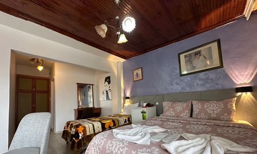 turkey/istanbul/fatih/lifeinnhotel079af72e.jpg