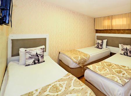 turkey/istanbul/fatih/nagehanhoteloldcitya038718c.jpg