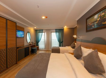 turkey/istanbul/fatih/neweminhotel120221fb.jpg