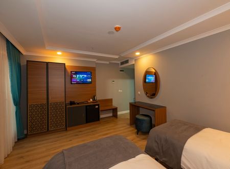 turkey/istanbul/fatih/neweminhotel4cf40cfd.jpg