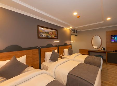 turkey/istanbul/fatih/neweminhotel5aa1d283.jpg