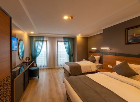 turkey/istanbul/fatih/neweminhotel5cbea7f2.jpg
