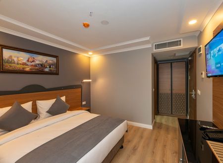 turkey/istanbul/fatih/neweminhotel68635336.jpg
