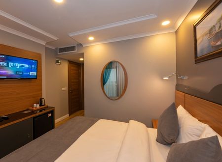 turkey/istanbul/fatih/neweminhotel86170717.jpg