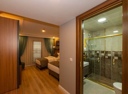 turkey/istanbul/fatih/neweminhotel9c5e16ab.jpg