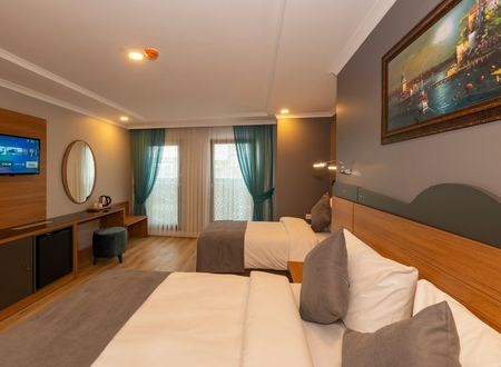 turkey/istanbul/fatih/neweminhotelaf7e136c.jpg