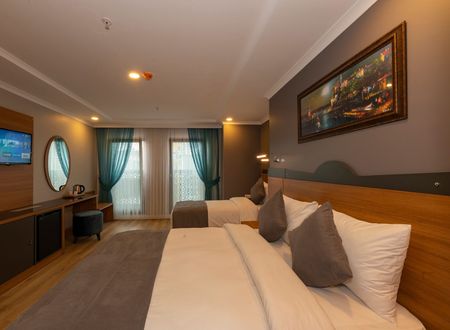 turkey/istanbul/fatih/neweminhotelcf59e52f.jpg