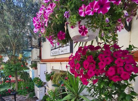turkey/istanbul/fatih/oceans7hotel4cdfbc49.jpg