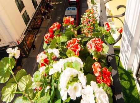 turkey/istanbul/fatih/orientexpressvspabyorkahotels0931d850.jpg