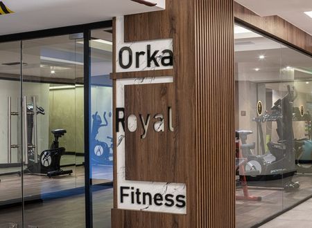 turkey/istanbul/fatih/orkaroyalhotels1824599e.jpg
