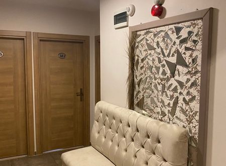 turkey/istanbul/fatih/polaninhotel7d339836.jpg