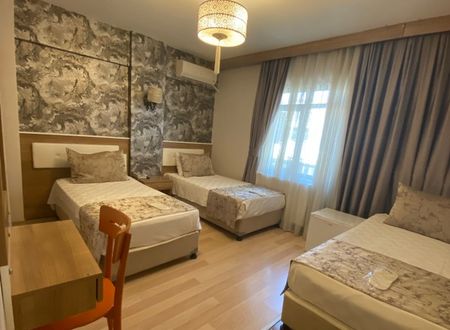 turkey/istanbul/fatih/polaninhotelc394a588.jpg
