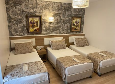 turkey/istanbul/fatih/polaninhoteld93e09d5.jpg