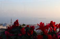 turkey/istanbul/fatih/recitalhotel297d9a6c.jpg
