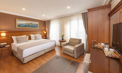 turkey/istanbul/fatih/royansuites7486a029.jpeg