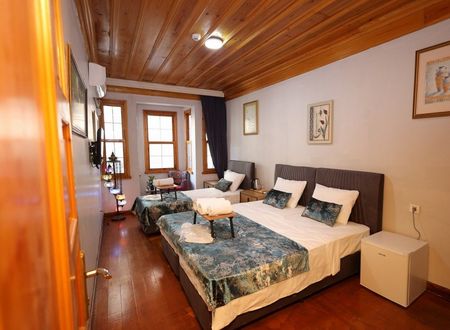 turkey/istanbul/fatih/thetriphotel5351243d.jpg
