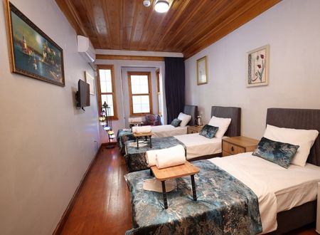 turkey/istanbul/fatih/thetriphotel6844d27f.jpg