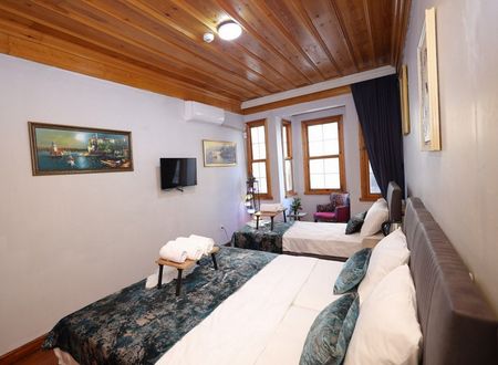turkey/istanbul/fatih/thetriphotel7b72ce78.jpg
