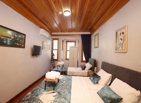 turkey/istanbul/fatih/thetriphotel8f630115.jpg