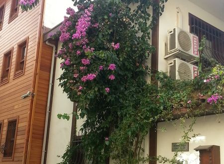 turkey/istanbul/fatih/villasphendonesuites008f4f59.jpg