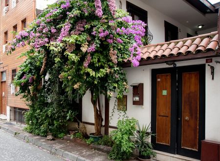 turkey/istanbul/fatih/villasphendonesuites03621482.jpg