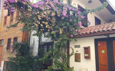 Villa Sphendone · 2