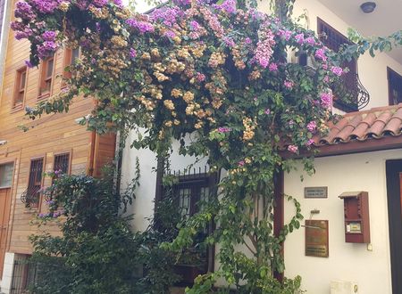 turkey/istanbul/fatih/villasphendonesuites2adc9fd8.jpg
