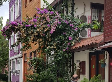 turkey/istanbul/fatih/villasphendonesuites32060d51.jpg
