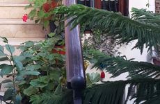turkey/istanbul/fatih/villasphendonesuites4470ae0a.jpg