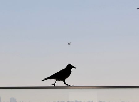 turkey/istanbul/fatih/villasphendonesuites66680186.jpg