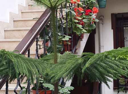 turkey/istanbul/fatih/villasphendonesuitesb155006f.jpg