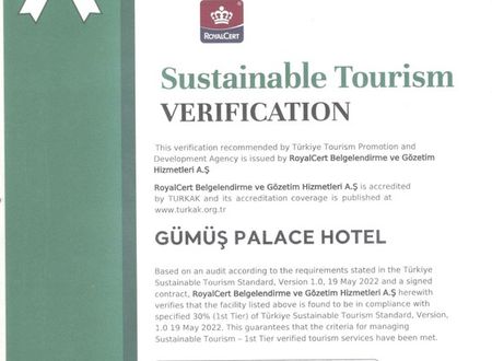turkey/istanbul/gumuspalacehotelsuites92a6b7d0.jpg