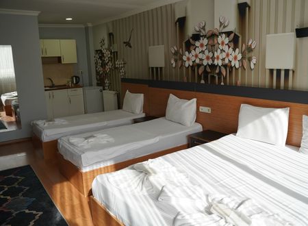 turkey/istanbul/heraldicroomhotelc28ec8ae.jpg
