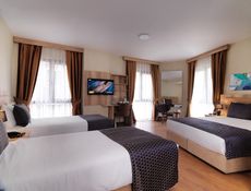 Standaard Kamer - Vierpersoons