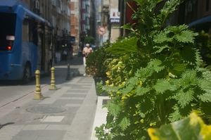 turkey/istanbul/kadikoy/ayyildizlarhotel13e73c3e.jpg