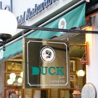 Duck Otel