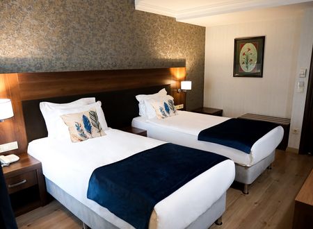 turkey/istanbul/kadikoy/rhisshotelbostanci34068d17.jpg